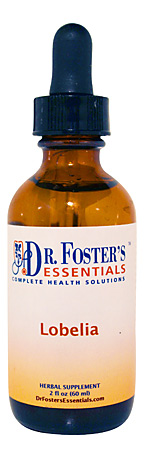 Breathe easier with Organic Lobelia | Dr. Fosters Essentials