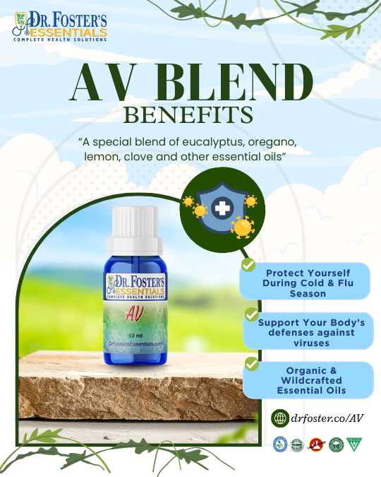 Virus - bacteriophage