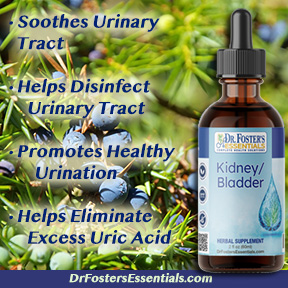 What do Kidney Bladder herbs do?