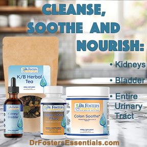 Kidneys and Bladder Anatomy