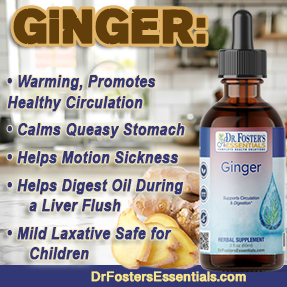 Benefits of ginger in the body